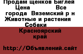 Продам щенков Биглей › Цена ­ 15 000 - Все города, Вяземский р-н Животные и растения » Собаки   . Красноярский край